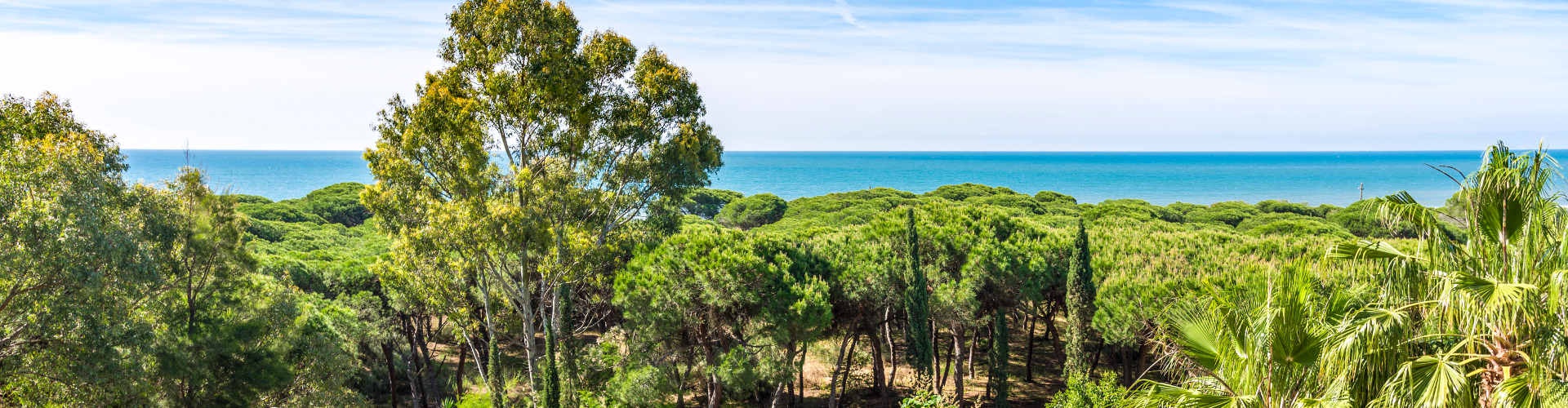 TUI BLUE ISLA CRISTINA PALACE - Isla Cristina, Huelva, Espagne - 